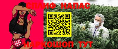 МДПВ Беслан