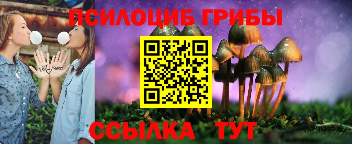 Когалым  Псилоцибиновые грибы Cubensis  Вход с VPN 